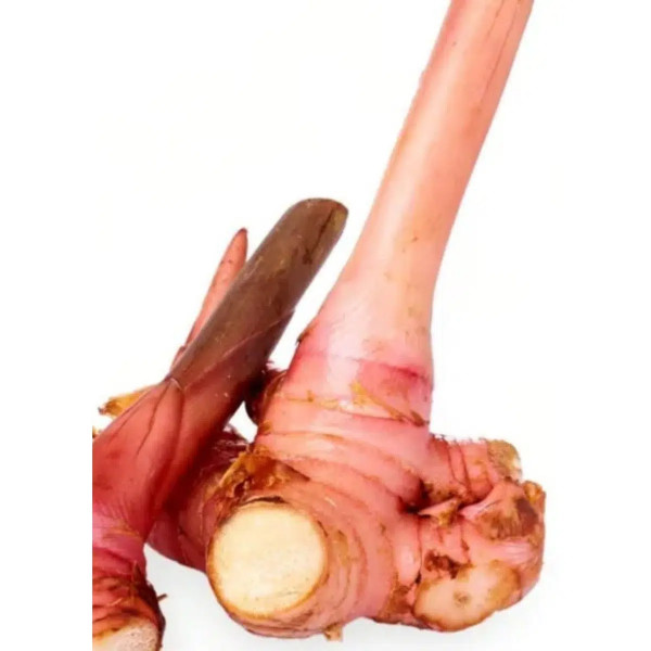 Fresh Blue Ginger
