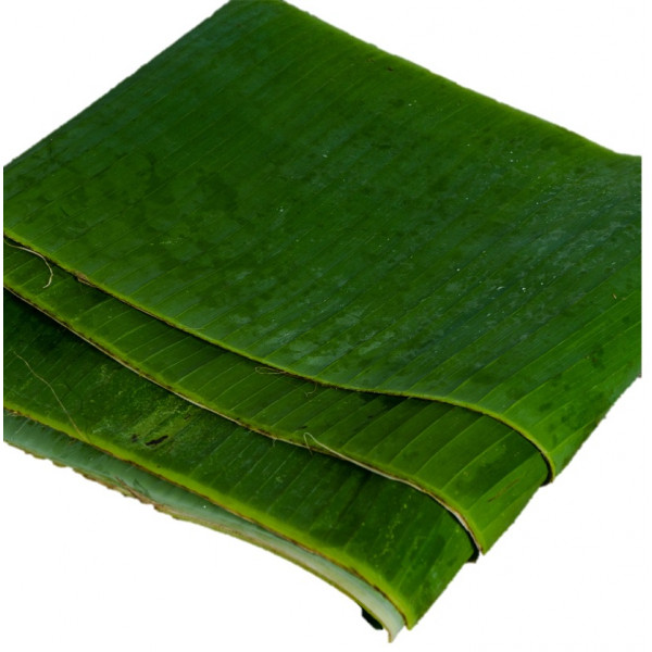 Banana Leaf