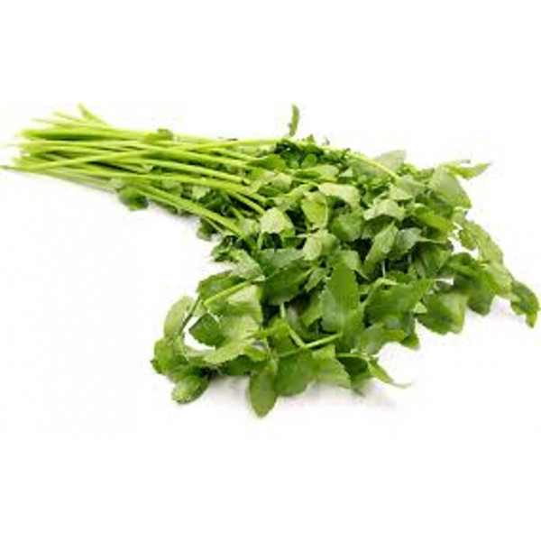 Chinese Celery