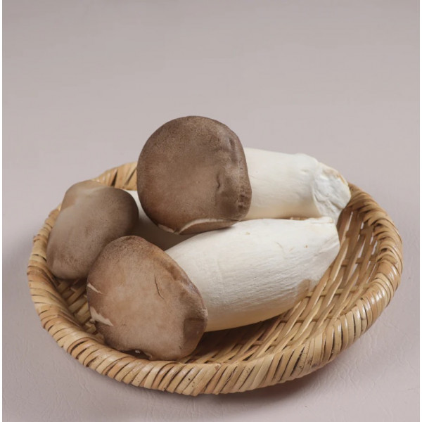 King Oyster Mushroom