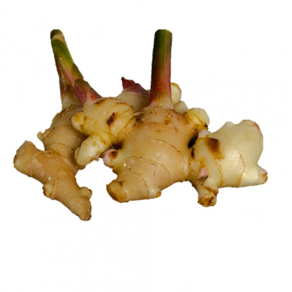 Ginger Young