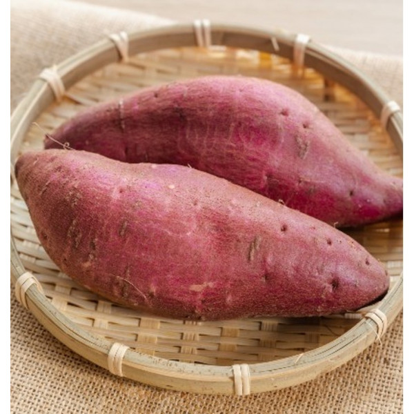 Japanese Sweet Potato