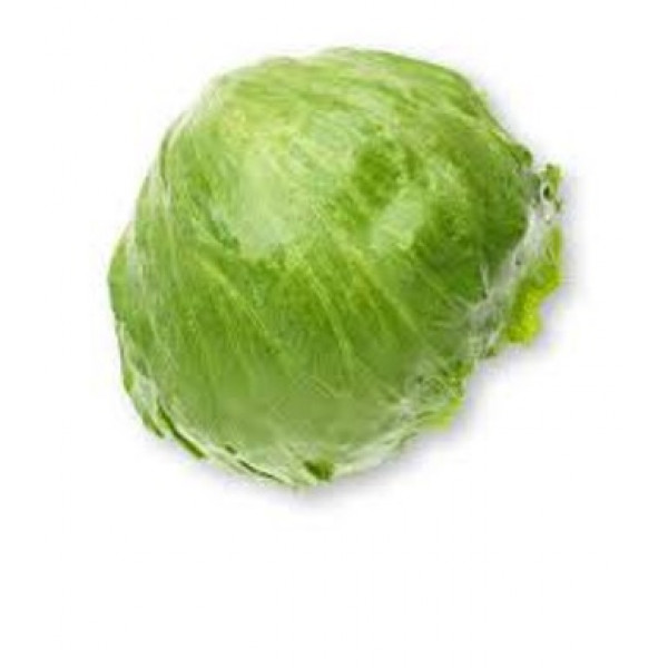 Lettuce Iceberg
