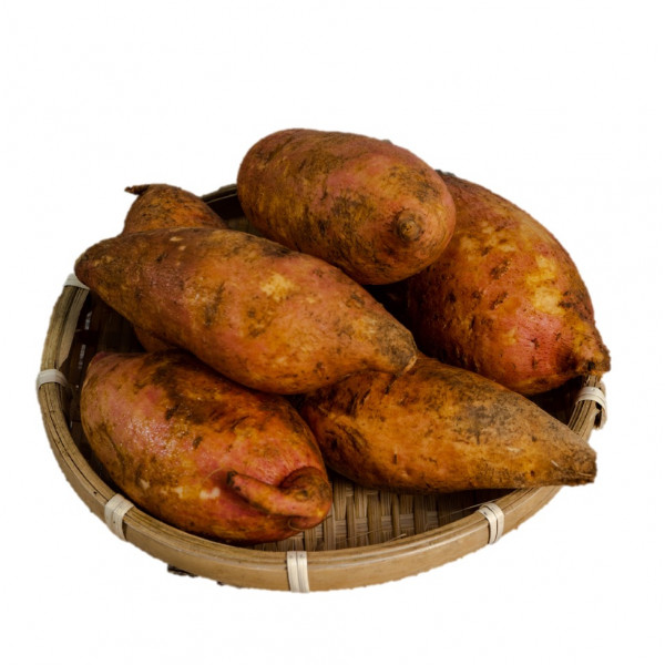 Sweet Potato