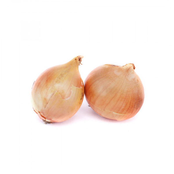 White Big Onion