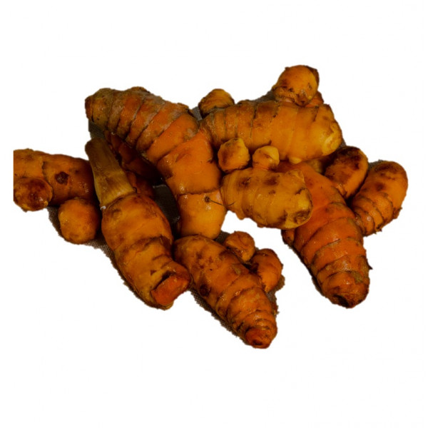 Yellow Ginger