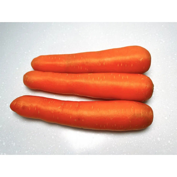 Carrot