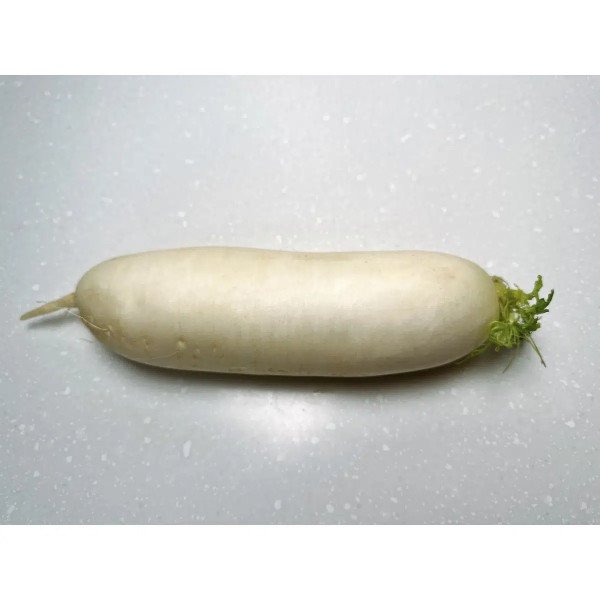 White Radish