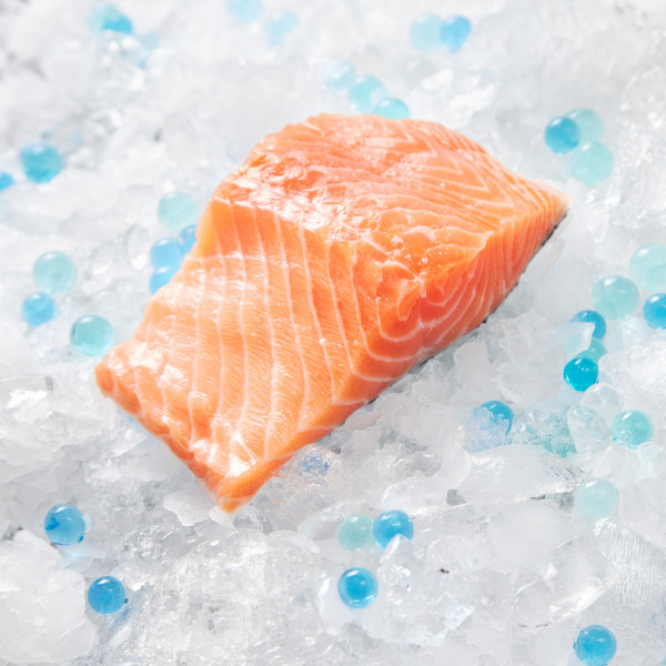 Fresh Salmon Fillet