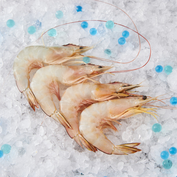Fresh XL Ang Ka Prawns (Sea Prawns)