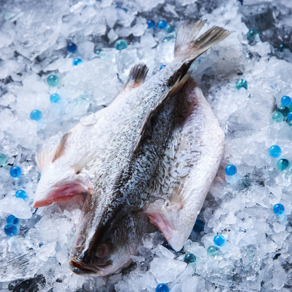 Fresh Seabass Butterfly Cut (Kukup Sea)