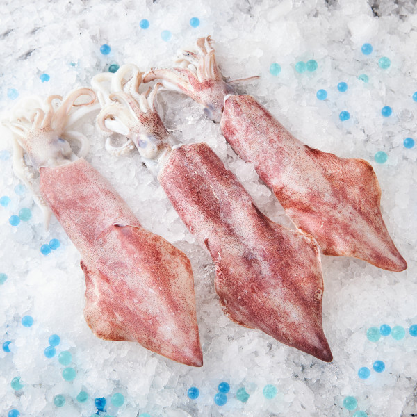 Fresh A Grade Whole XL Sotong (Squid)