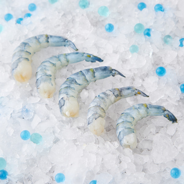 Fresh XL Peeled Tiger Prawns