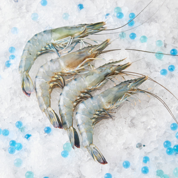 Fresh XL Tiger Prawns