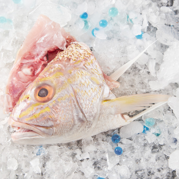 White Snapper Fish Head (Ang Go Li)