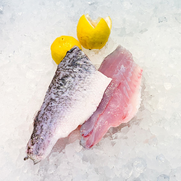 Asian Seabass Fillet Glutted (Kukup Sea)