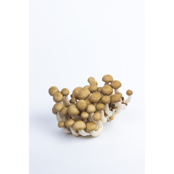 Brown Shimeiji Mushrooms