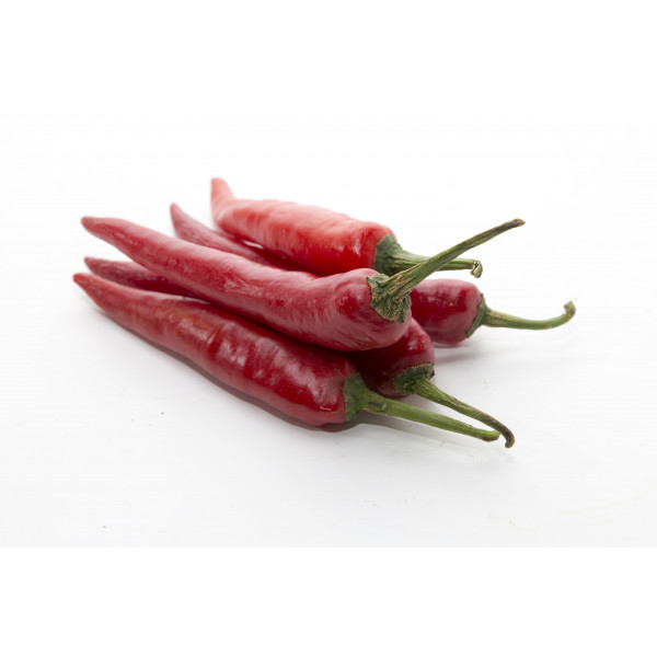 Red Chilli