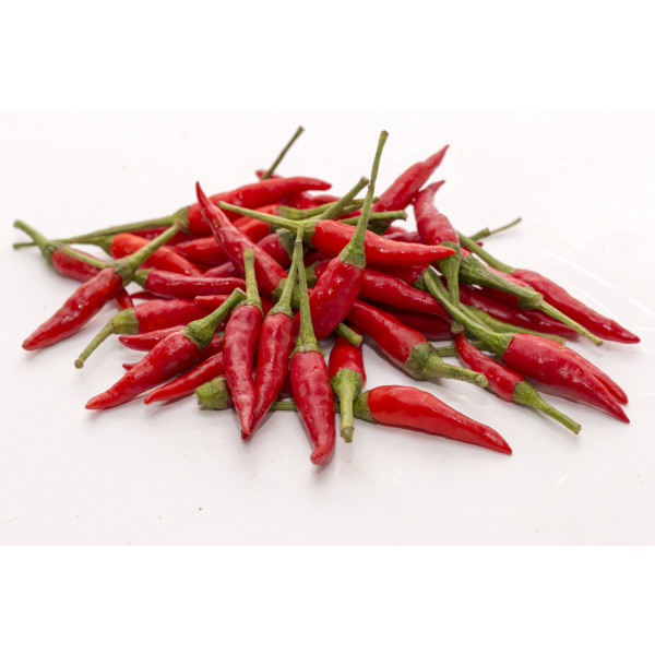Chilli Padi