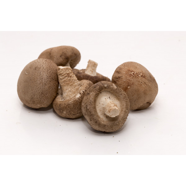 Shiitake Mushrooms