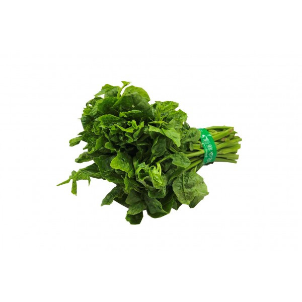 Ceylon Spinach (Di Huang Miao)