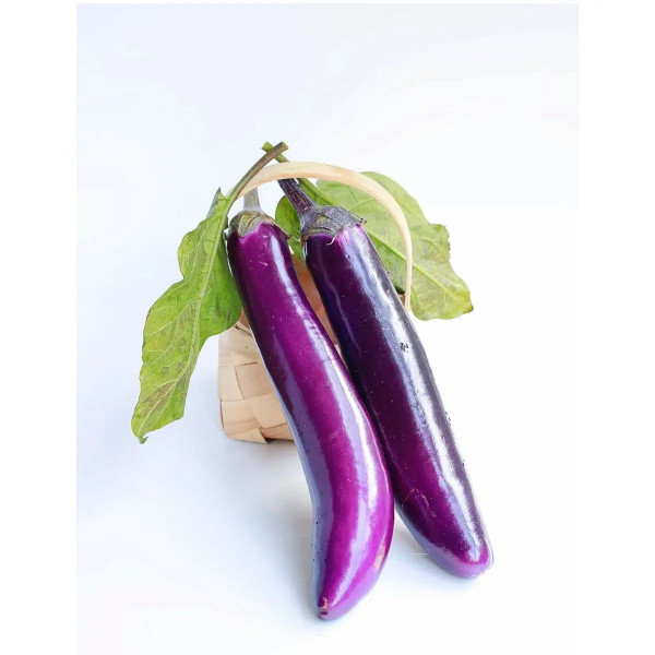 Long Brinjal
