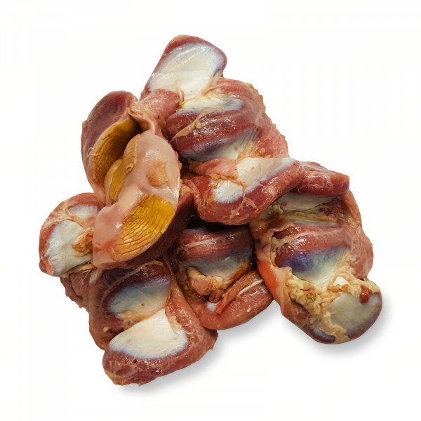 Duck Gizzard