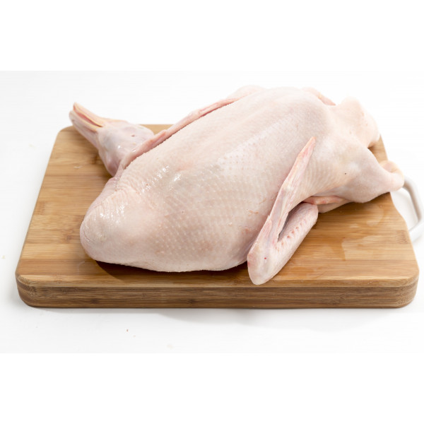 Duck (Whole)