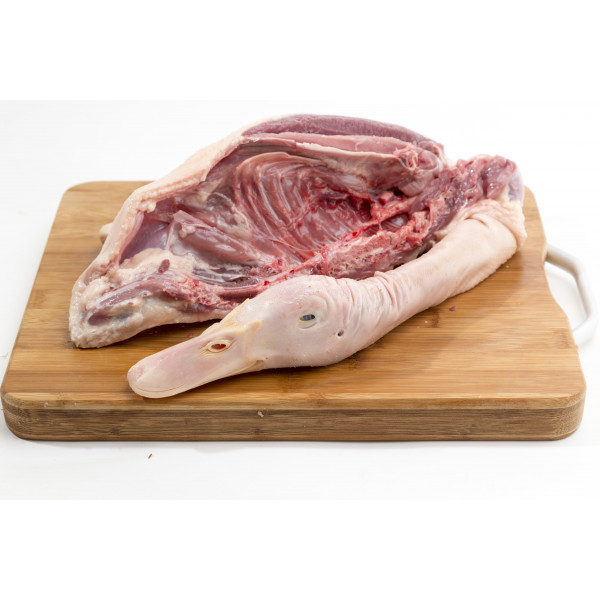 Duck (Half)