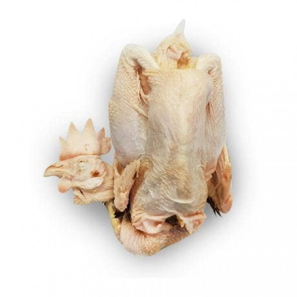 Fresh Kampong Old Mother Hen (Whole)