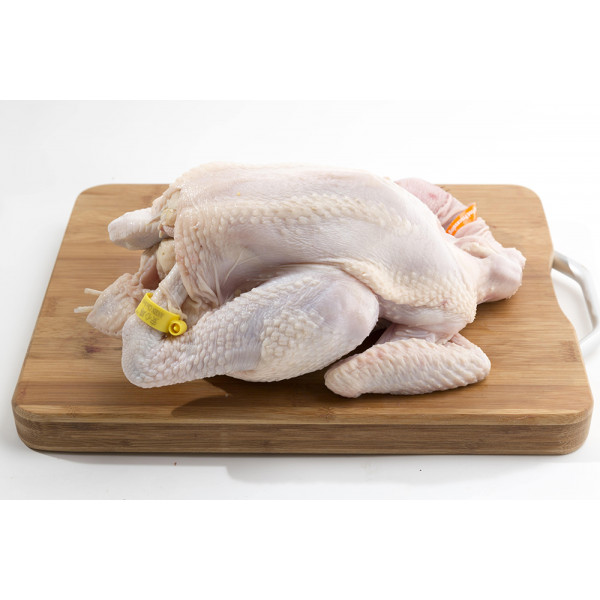 Fresh Kampong Chicken (Medium)