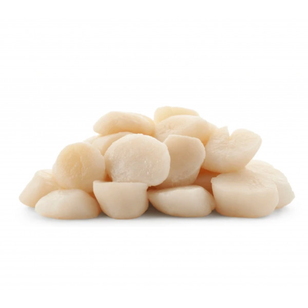 Scallops (Frozen)
