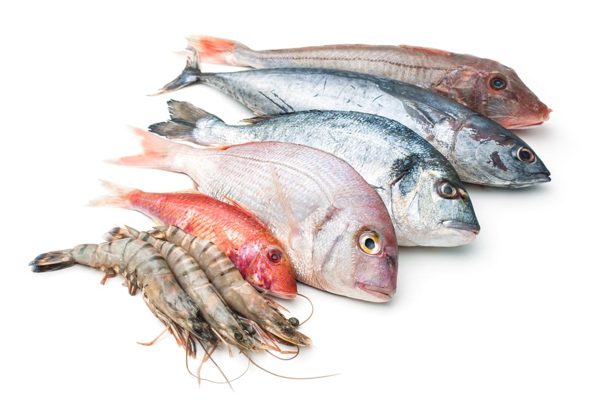 Fresh Seafood